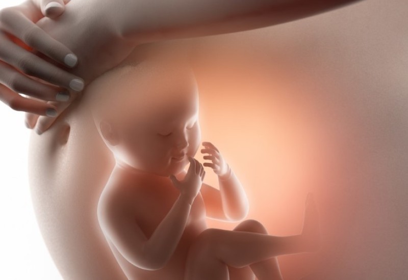 Zakonodavci razmatraju usvajanje zakona: Abortus bi se mogao kažnjavati smrtnom kaznom