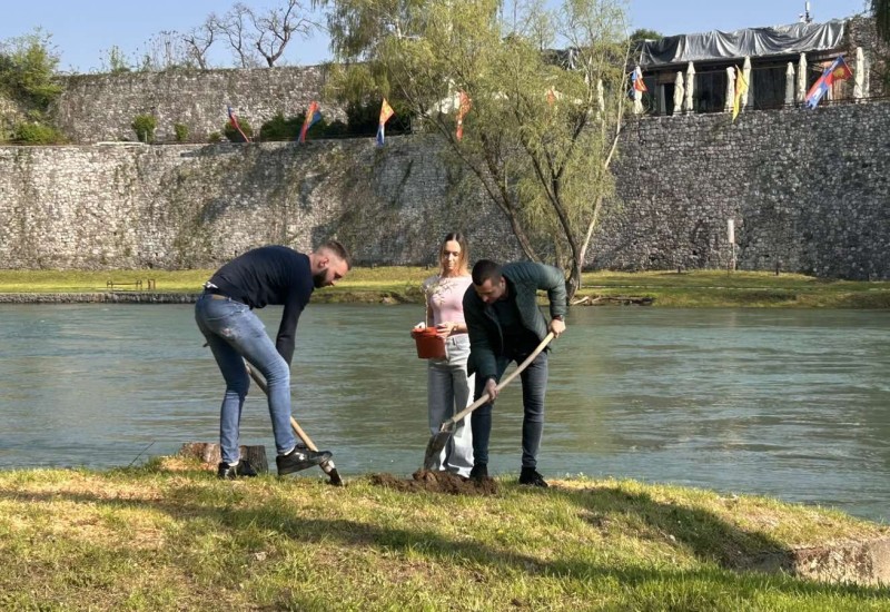 Mladi zasadili nove vrbe na Vrbasu: Otpor nakon sječe stabala