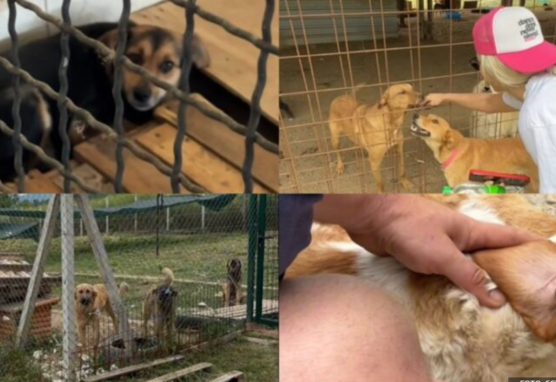 Objavila potresan snimak: Pogledajte šta je Stankica zatekla u azilu na Manjači VIDEO