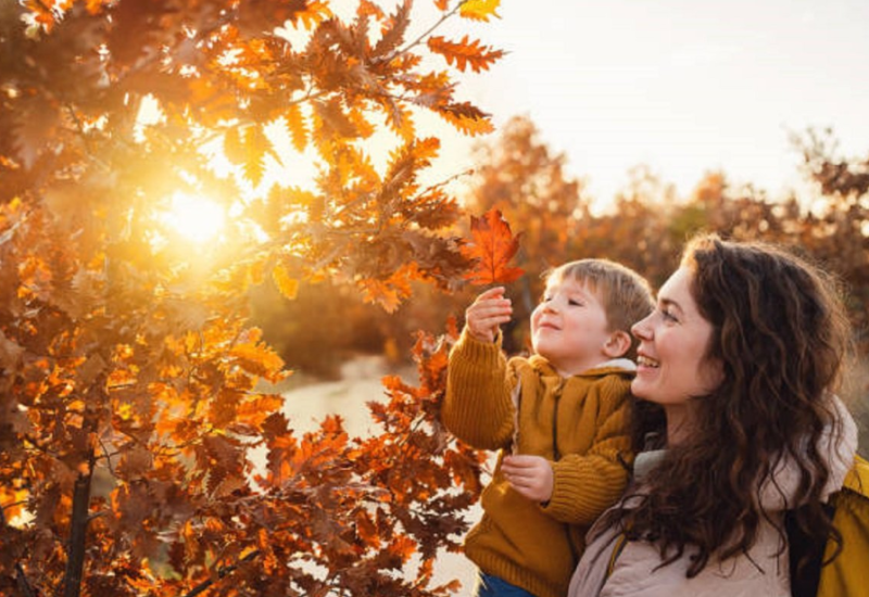 Jesen počinje u ponedjeljak u 20.19 časova