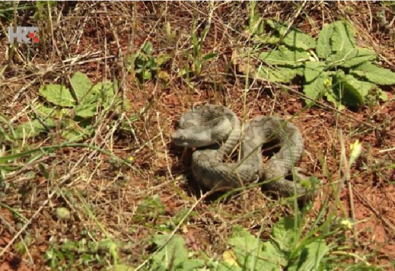 SARAJEVO: Uočen poskok kod dječijeg parka