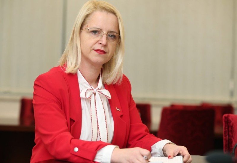 Novaković Bursać: Preporuka Evropskog parlamenta ne može donijeti ništa dobro