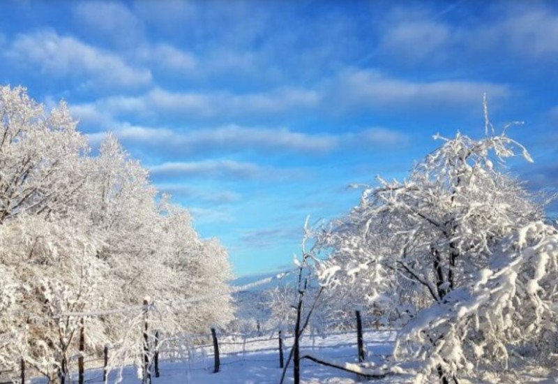 BH Meteo objavio prognozu: Kako će izgledati nastavak zime u BiH?