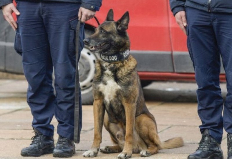 Pomogao spasiocima u Turskoj: Zigi zaslužno ide u penziju