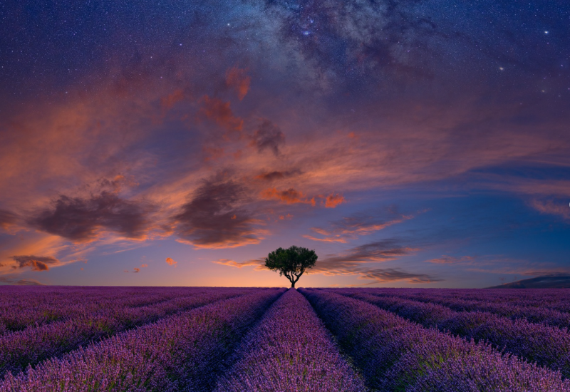 Lavanda za dobar san i rasterećen um