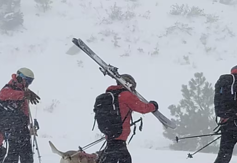 Devet skijaša nestalo, šest spaseno nakon lavine u Kaliforniji