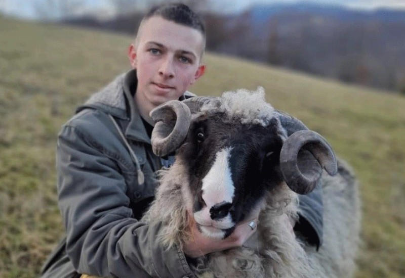 Studira i bavi se stočarstvom