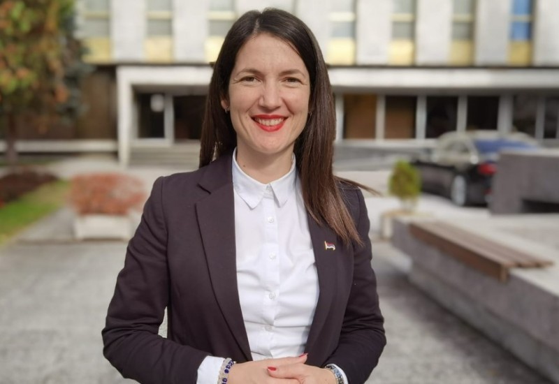 Gajić poručio Trivićevoj: Političke ratove vodi u PDP-u