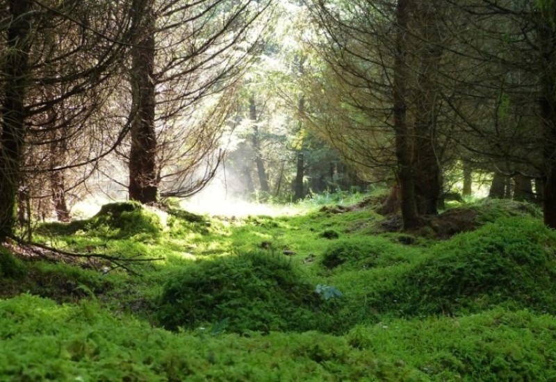 Samo sedam zemalja u svijetu ima čist vazduh