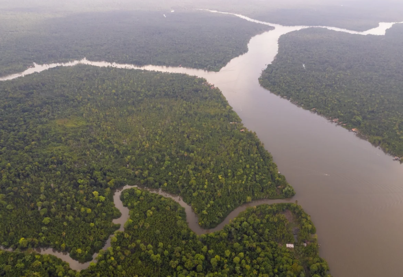 Novi predsjednik mijenja situaciju: U Brazilu počela akcija za zaštitu Amazonije