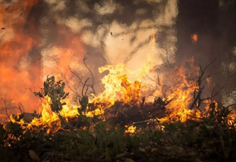 Naređena obdukcija: Pronađen mrtav na parceli na kojoj je izbio požar