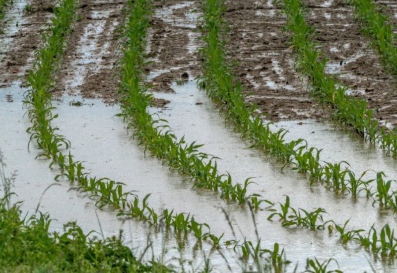 Trud i novac otišli niz vodu: Poplave u Srpskoj ostavile pustoš i veliku štetu