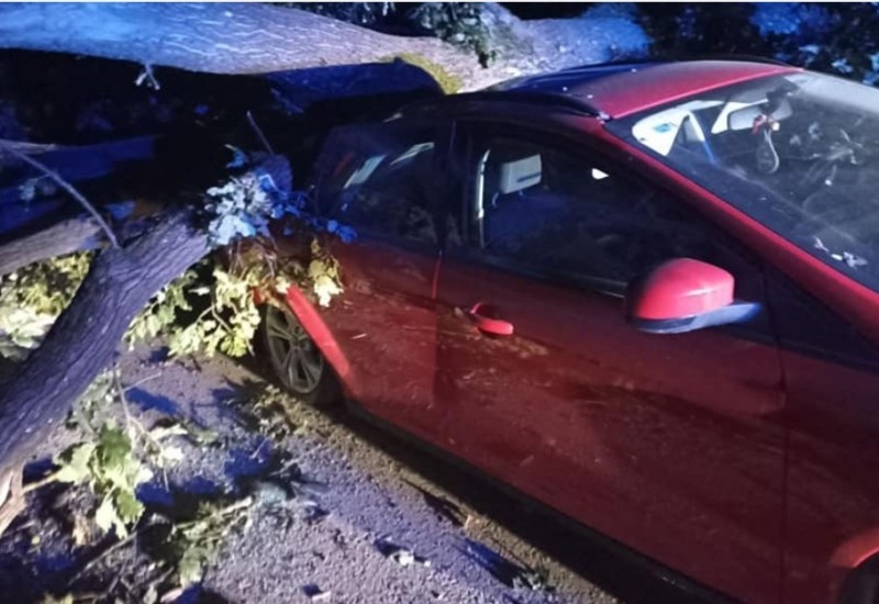 Drvo palo na auto: Saniraju se posljedice noćašnje oluje u Banjaluci FOTO