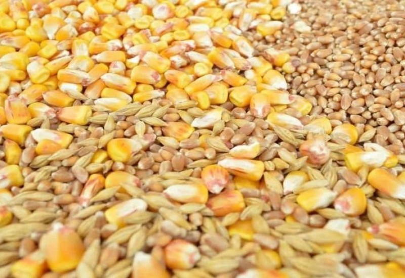 Suša uticala na poskupljenje živinarskih proizvoda za deset odsto