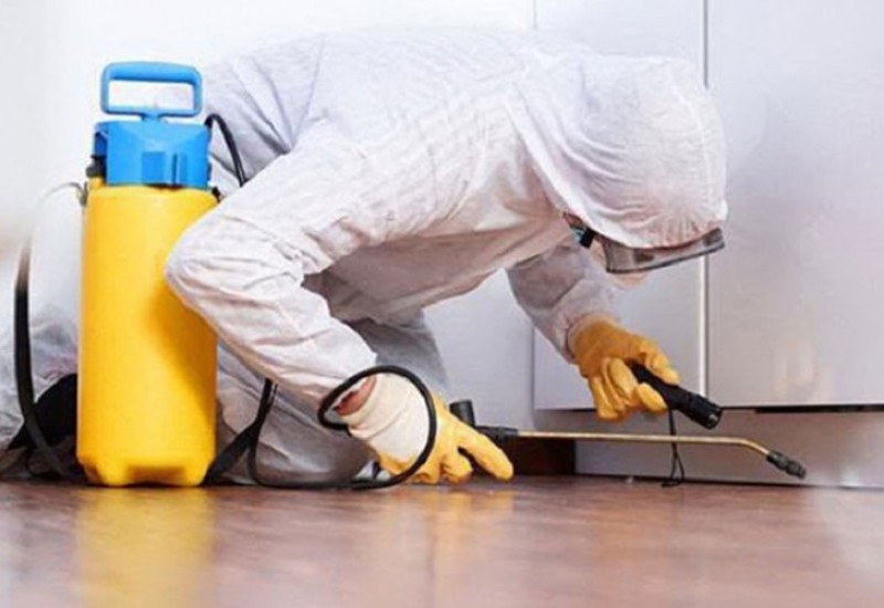 Počela jesenja deratizacija