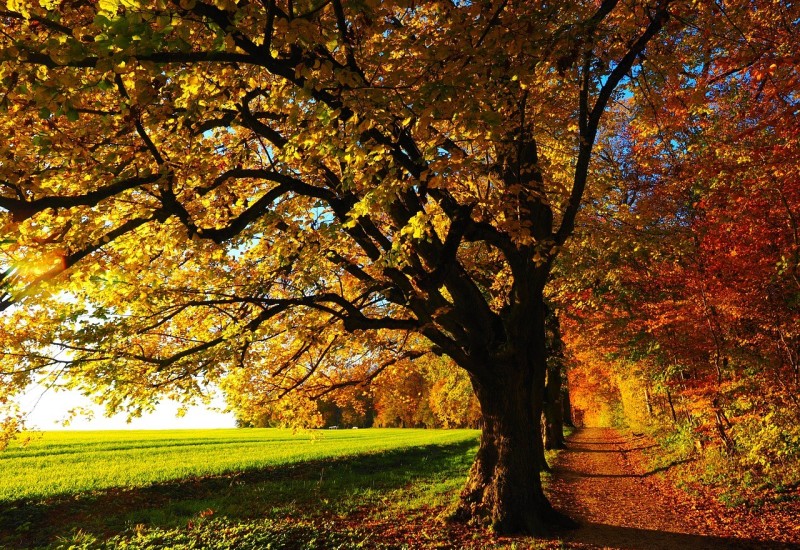 Za vikend promjenjivo oblačno sa sunčanim periodima