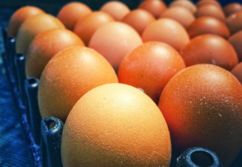 Ekonomska drama u Britaniji: Cijena jaja sa 20 porasla na 68 funti