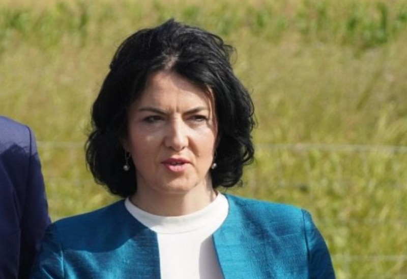 Privedena bivša gradonačelnica Niša: Policija je sačekala na graničnom prelazu