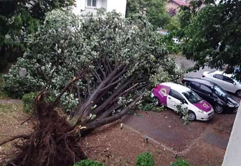 Snažno nevrijeme u Banjaluci, vjetar rušio drveće (FOTO)