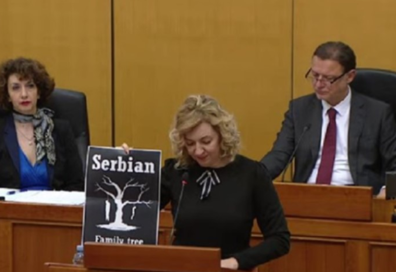 U Hrvatskom saboru poderala sliku: Školski primjer mržnje prema Srbima (VIDEO)