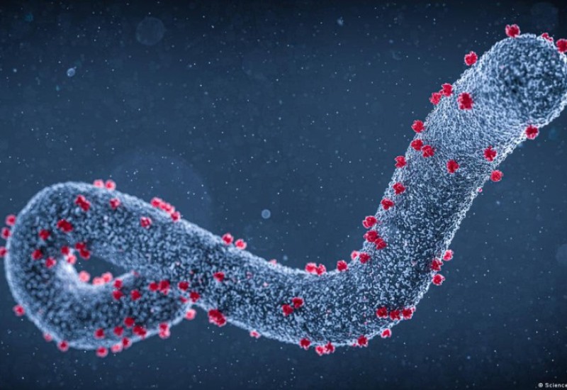 Virus “Marburg” odnio pet života