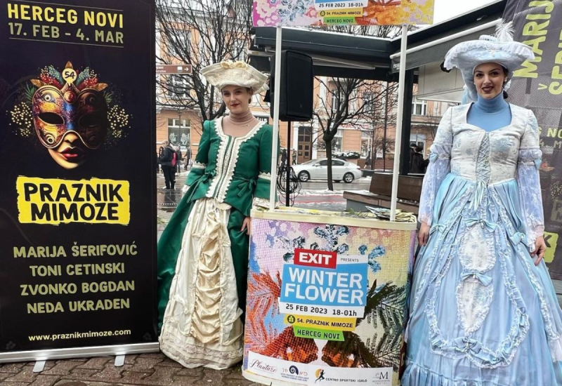 Banjaluka zamirisala na mimoze (FOTO/VIDEO)