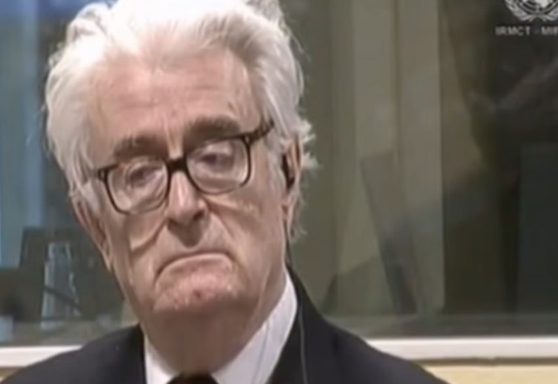 Petronijević o Karadžiću: Primoran je da sa porodicom razgovara na engleskom jeziku