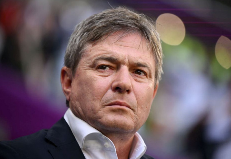 STOJKOVIĆ: Srbiju će u SAD bodriti naše sportske legende