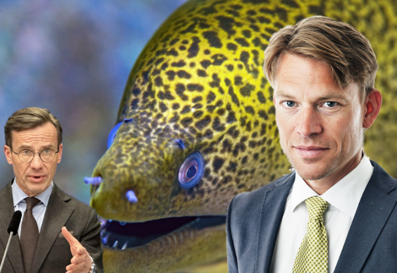 Skandal "Jegulja" trese Švedsku