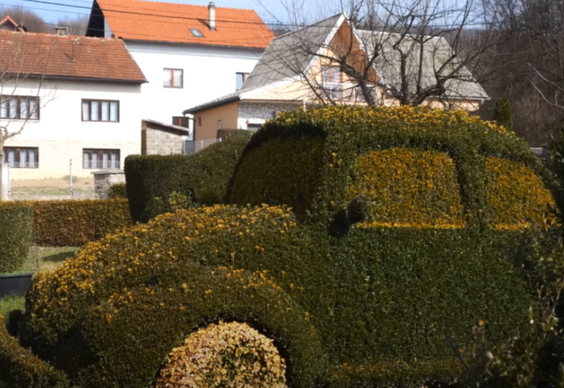 Čovjek 12 godina šišao šimšir da bi ga oblikovao u "folciku" (VIDEO)