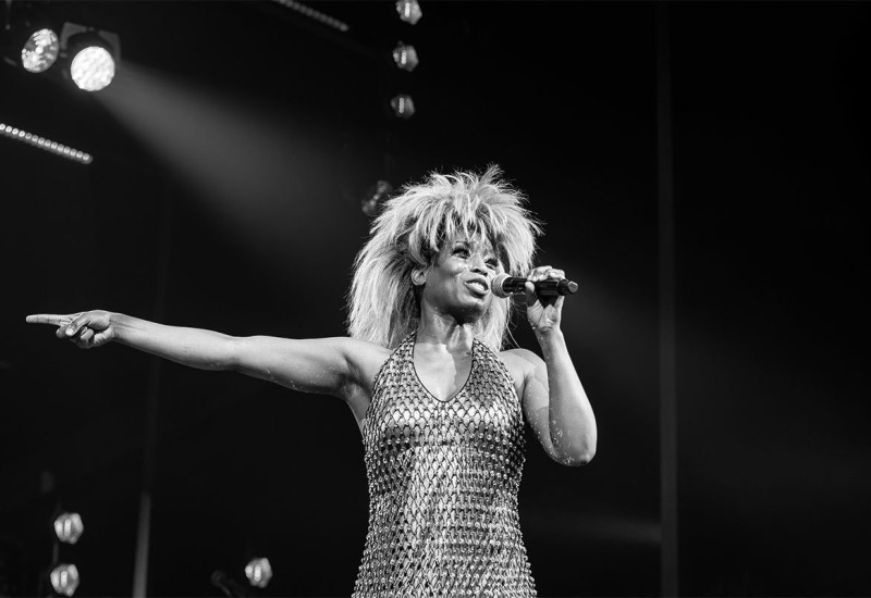 Preminula Tina Tarner