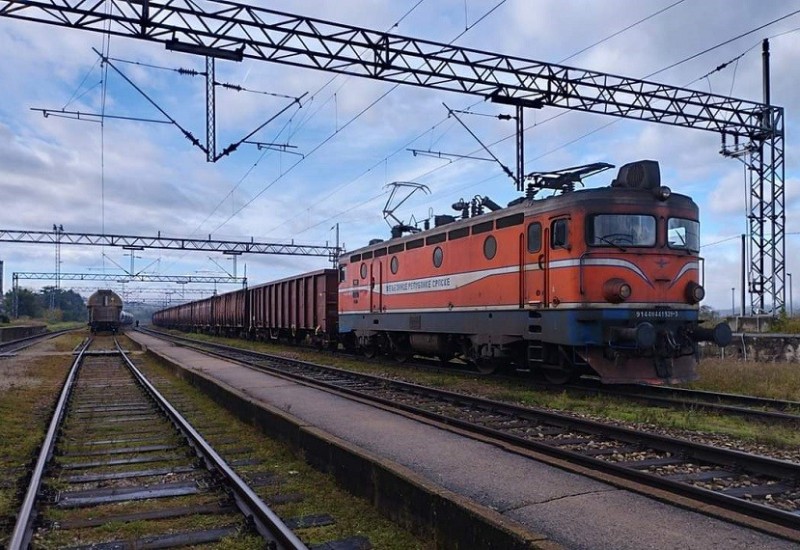 Ogromna zmija kod Željezničke stanice u Banjoj Luci