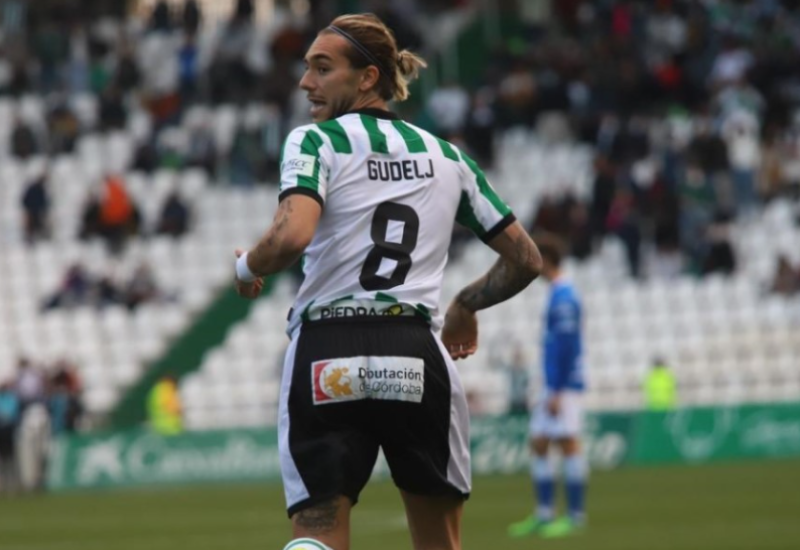 Dragiša Gudelj u bolnici: Brat srpskog reprezentativca se srušio na terenu (VIDEO)