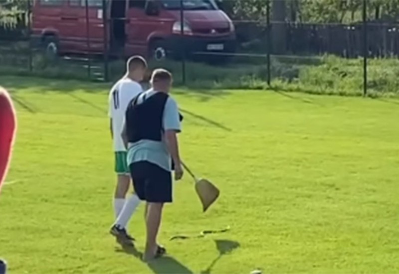 Zmija prekinula utakmicu u Srbiji (VIDEO)