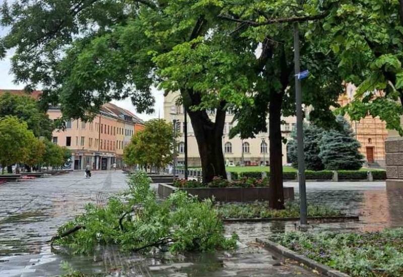 Posljedice nevremena u Banjaluci: Vjetar polomio drvo kao čačkalicu VIDEO