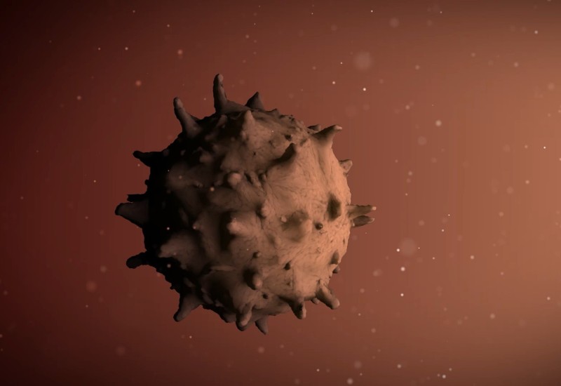 SRBIJA: Zaraženih 1.173, umrlo sedam