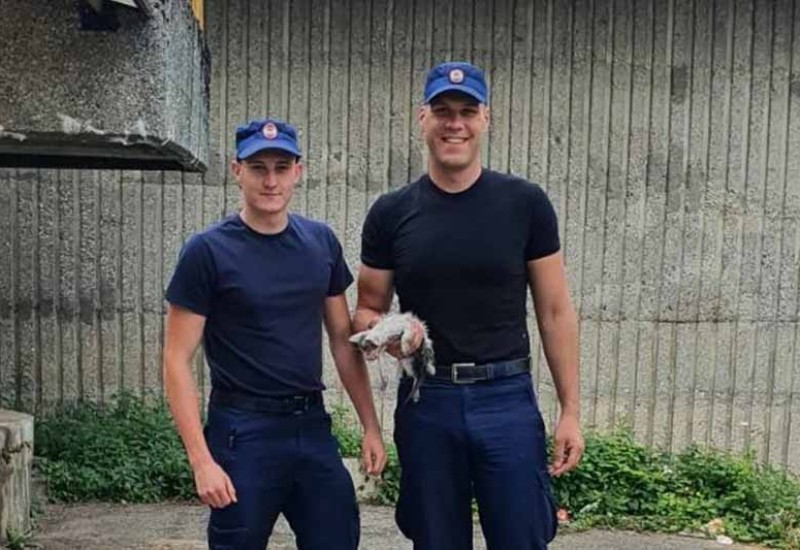 HEROJI DANA: Kadeti Policijske akademije Banjaluka spasili malo mače iz vode