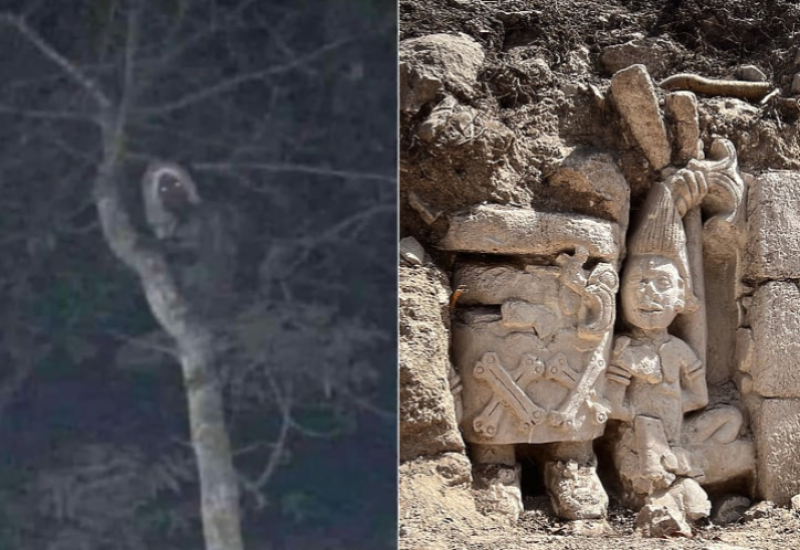 Meksički predsjednik podijelio fotografiju na kojoj tvrdi da se vidi vilenjak