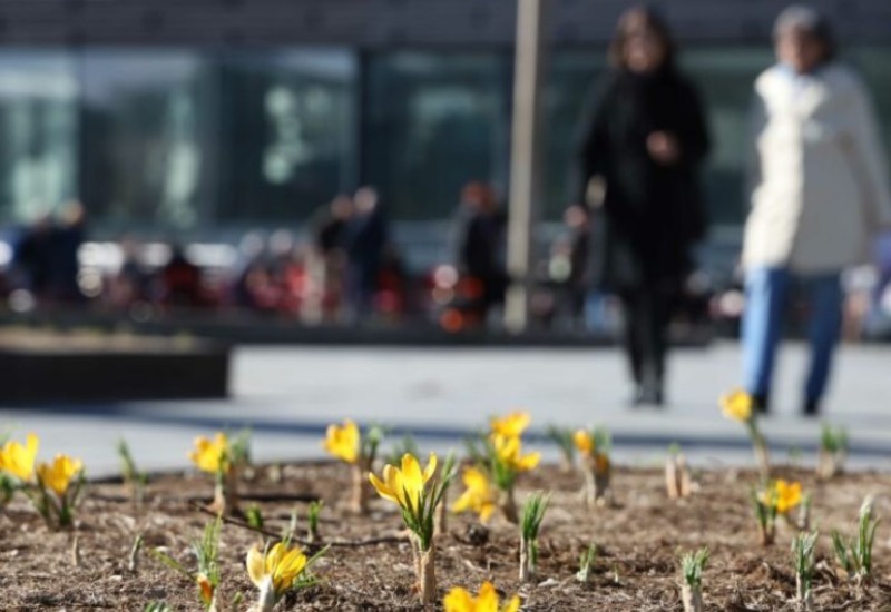 Zimska čarolija nas napušta: Mart sa sobom donosi pravo PROLJEĆE