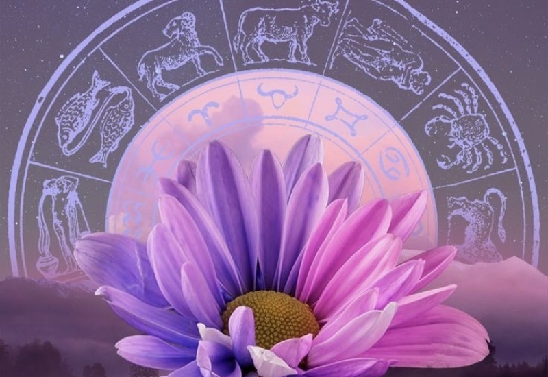 Nedjeljni horoskop: Kojim znacima će posljednji dani marta biti najsrećniji