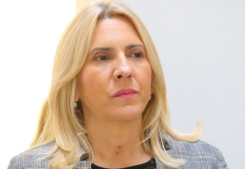 Cvijanovićeva poručila da “veto nije hir”: Mislim da Crnadak nije razumio šta je rečeno