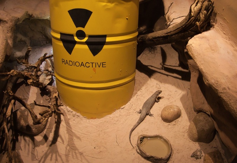 Košarac: Usvojena pravna strategija za Trgovsku goru