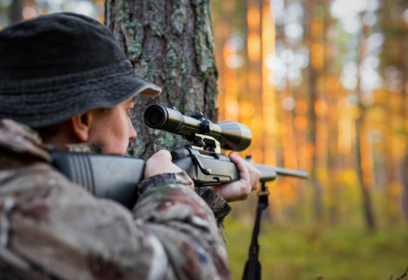 Lovac savladao agresivnog vepra jednim hicem  (VIDEO)