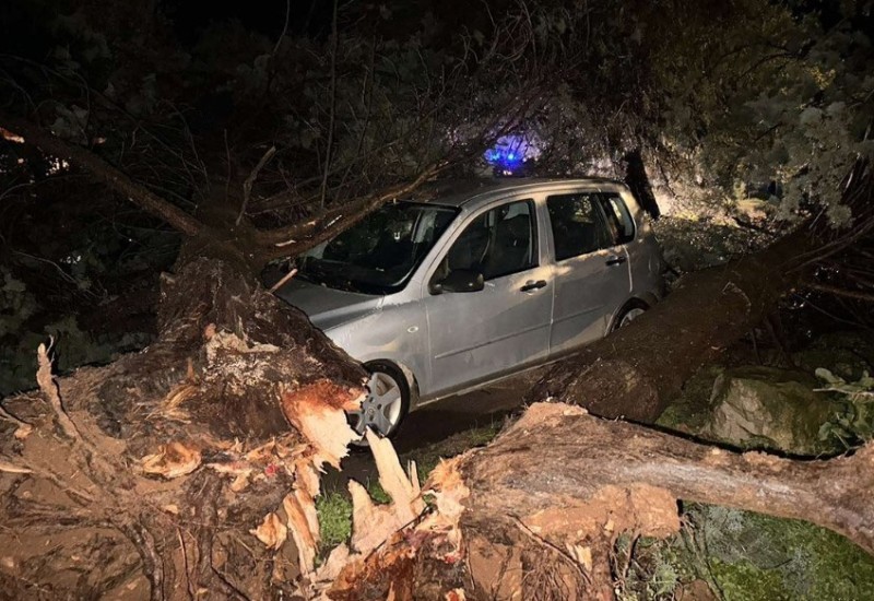 Nevrijeme u Rovinju i Poreču čupalo stabla, voda ušla u kuće