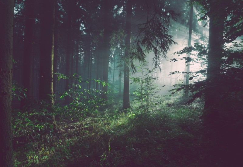 Muma Paduri: Oličenje anđela i demona u koje još vjeruju u istočnoj Srbiji