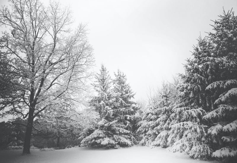Danas oblačno, slab snijeg samo ponegdje
