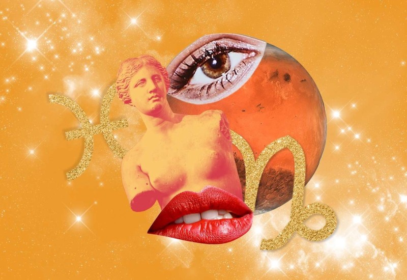 Vage uspješne u poslu, Bikovi pod stresom