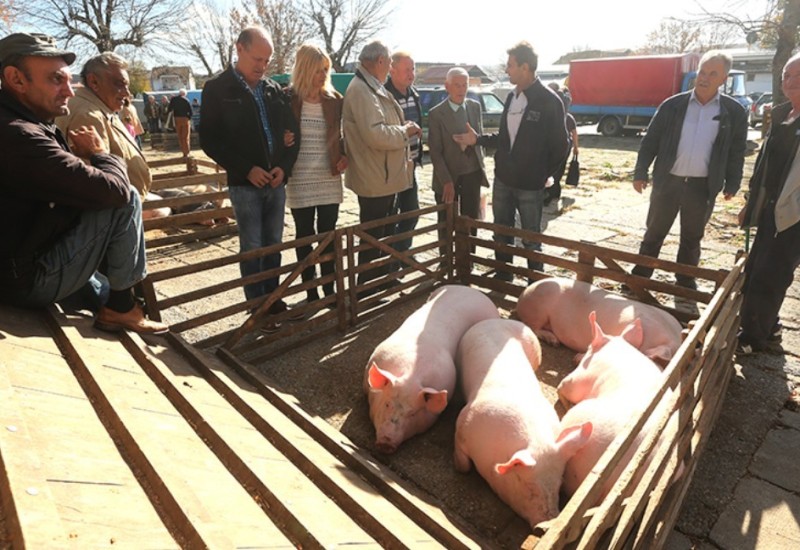 ZBOG AFRIČKE KUGE Zatvaraju se sve stočne pijace u Srpskoj