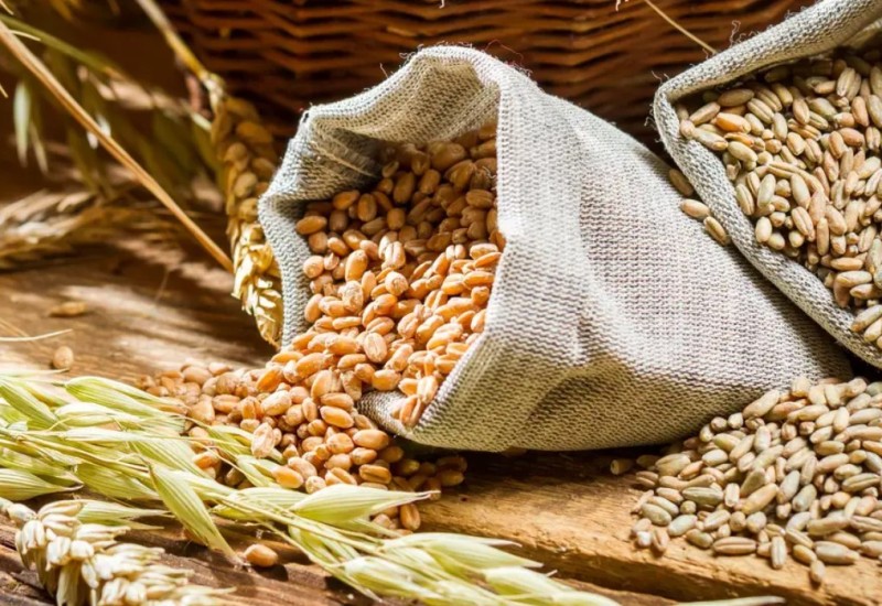 Podbacili prinosi pšenice, poskupjeće brašno, ali i hrana