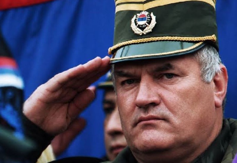 Vujić: Mladić će biti sahranjen uz najviše državne i vojne počasti